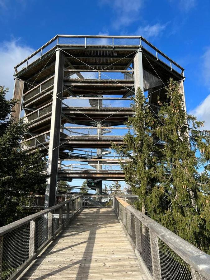 Apartament A121 Molo Lipno S Infrasaunou - Residence Koubek Lipno nad Vltavou Kültér fotó